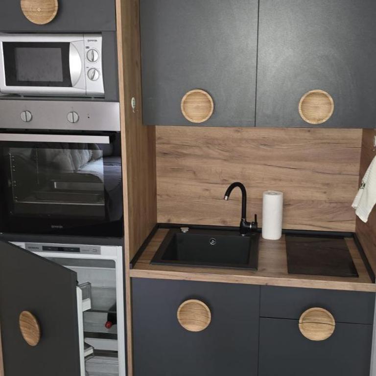 Zlatibor Apartman Br 1 - Apartman sa 1 Spavaćom Sobom - 13