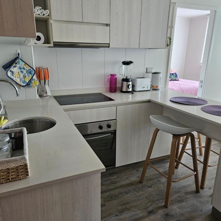 Departamento Nuevo a pasos de la playa Puerto Montt - Apartamento de 2 dormitorios con vistas al jardín - 18