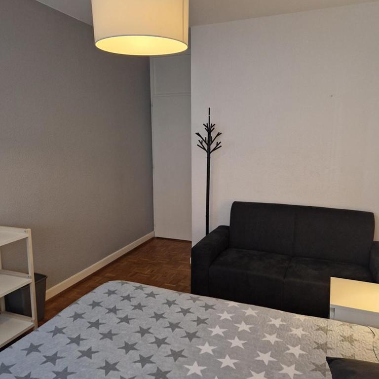 Room in Shared Apartment Geneva - Chambre Simple avec Salle de Bains Commune - 7