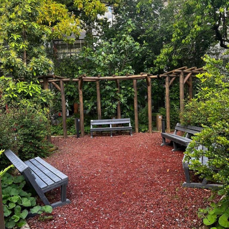 Pucon Depto Nuevo - Apartamento de 1 dormitorio - 27