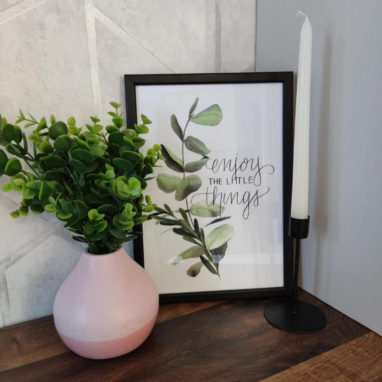 Apartman Trijumf Lux - One-Bedroom Apartment with City View - 20