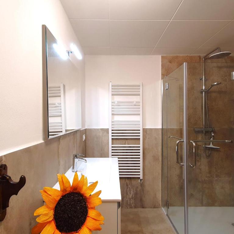 Apartment in Luino with Lake Maggiore Views - Appartamento con 1 Camera da Letto - 22