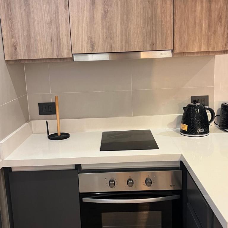 Pucon Depto Nuevo - Apartamento de 1 dormitorio - 21