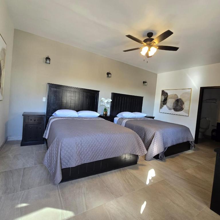 Playas Hotel Suites - Double Room - 3