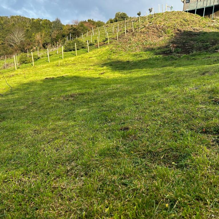 Cabaña del Llicanko - Two-Bedroom Chalet - 40