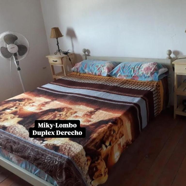 Miky Lombo - Casa de 2 dormitorios - 10
