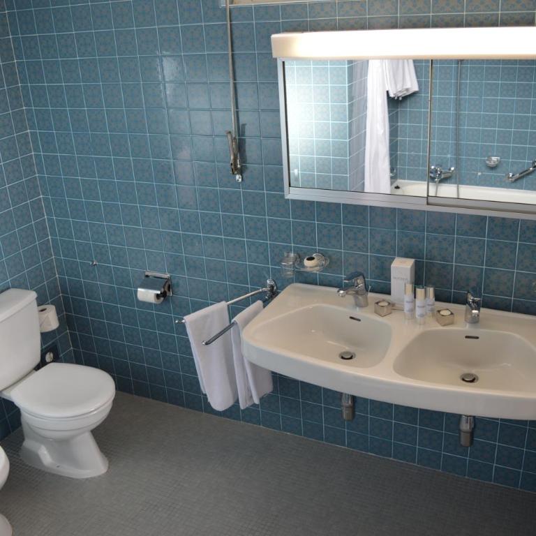 Hôtel du Grand Lac Excelsior - Standard Single Room with Balcony and Lake View - 3