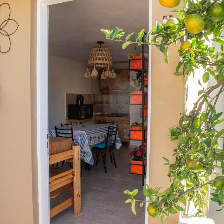 Paraiso Escondido - Apartamento Deluxe de 1 dormitorio - 16