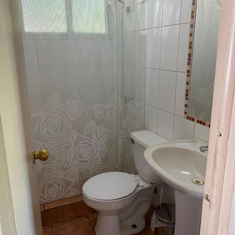 Cabaña Quillón El Campito - Three-Bedroom House - 39