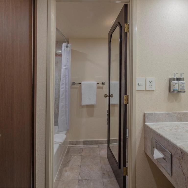 Holiday Inn Puebla La Noria by IHG - Chambre Standard - 9