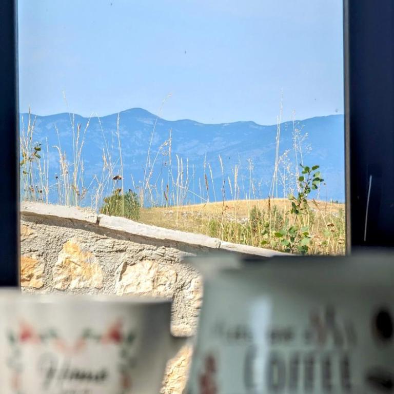 Mountain Valley - One-Bedroom Apartment - 9