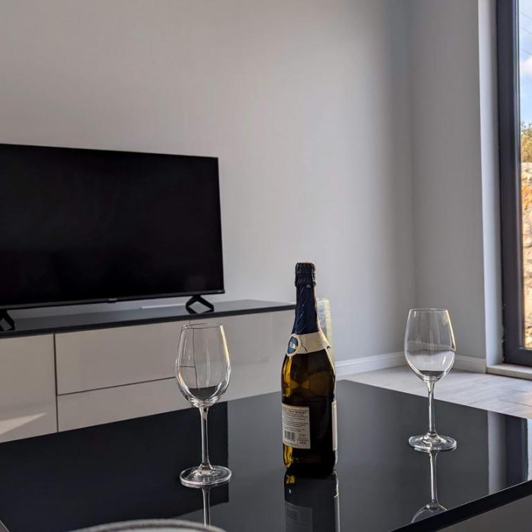 Mountain Valley - One-Bedroom Apartment - 10
