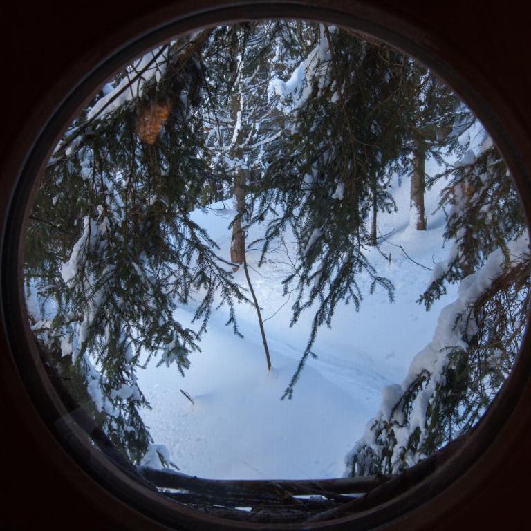 Cabane entre terre et ciel - Cabane dans les Arbres Nid - 19