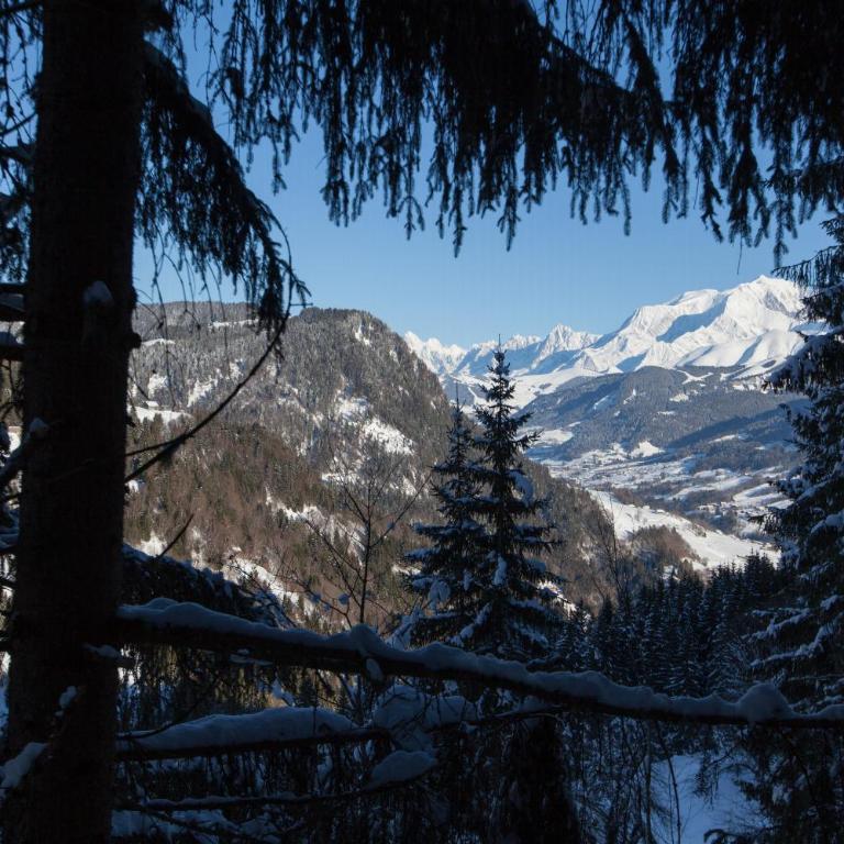 Cabane entre terre et ciel - Cabane dans les Arbres Nid - 16