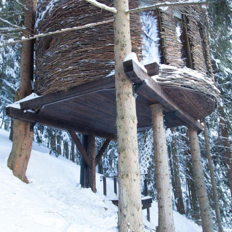 Cabane entre terre et ciel - Cabane dans les Arbres Nid - 17