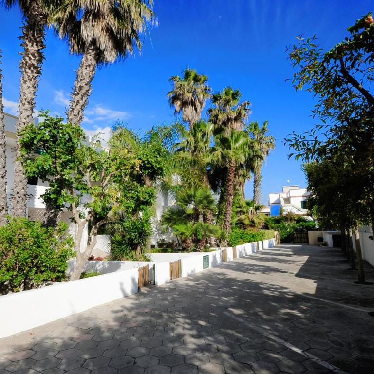 Baia Verde Apartments - Two-Bedroom Apartment - 1