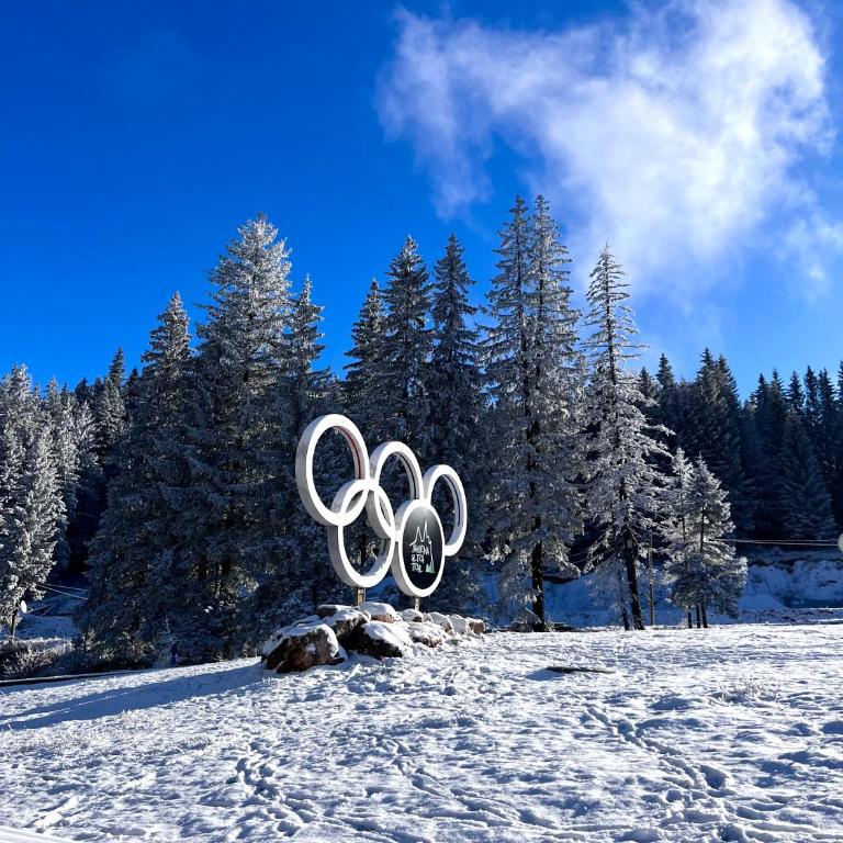 Apartman Anita 203 Jahorina - Apartman sa 1 Spavaćom Sobom - 11