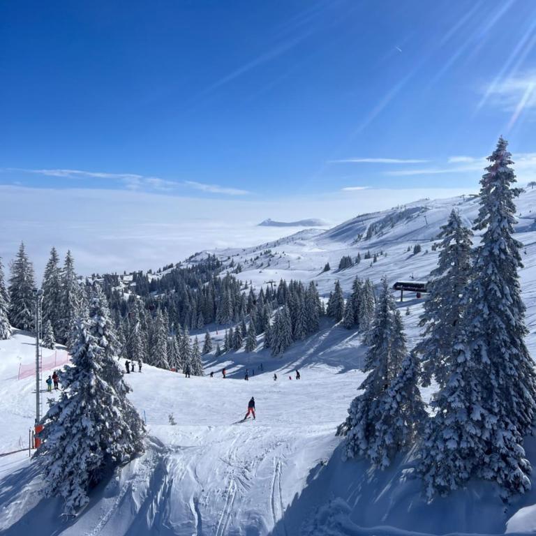 Apartman Anita 203 Jahorina - Apartman sa 1 Spavaćom Sobom - 12