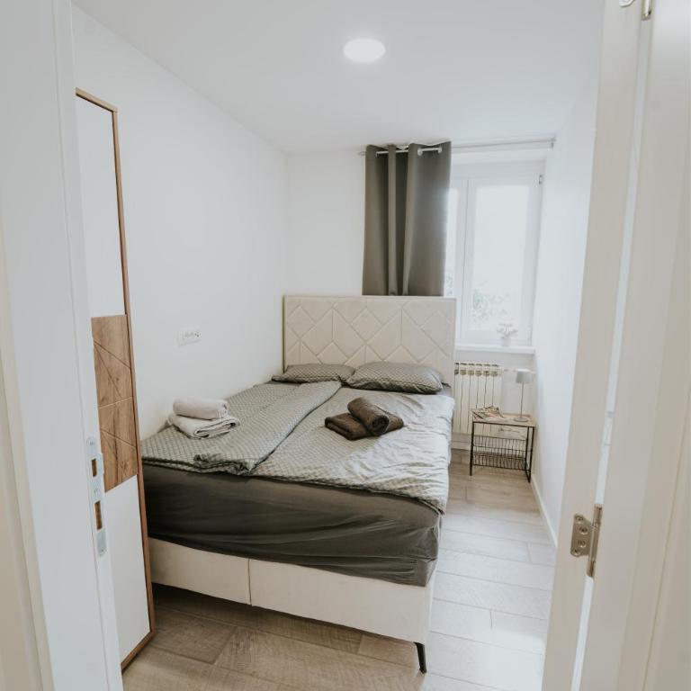 Dila Apartment - Apartment - 10