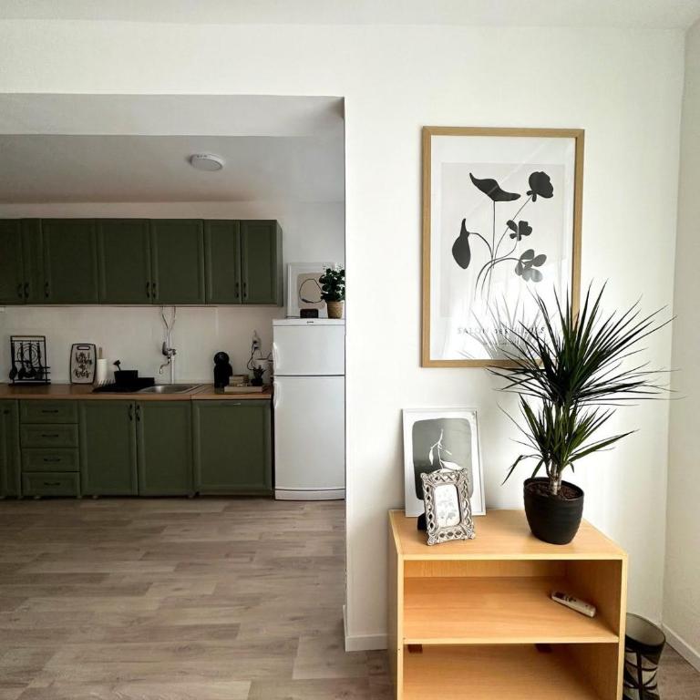 Apartman Vils - Apartman sa 1 Spavaćom Sobom - 9