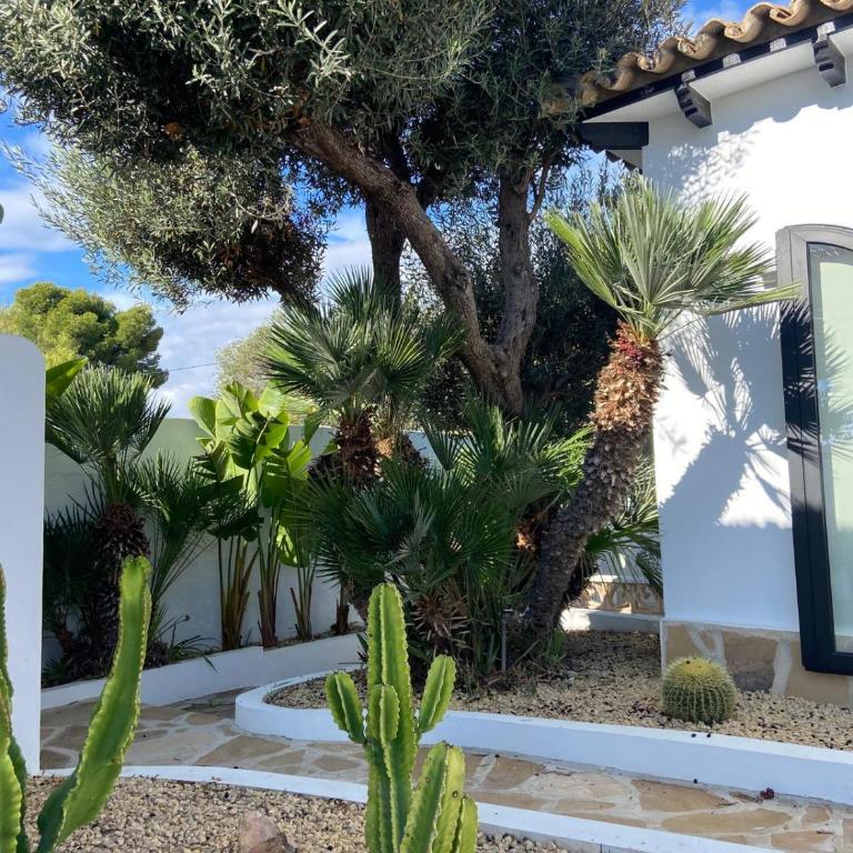 Authentic Haciënda near the Sea - Villa - 24