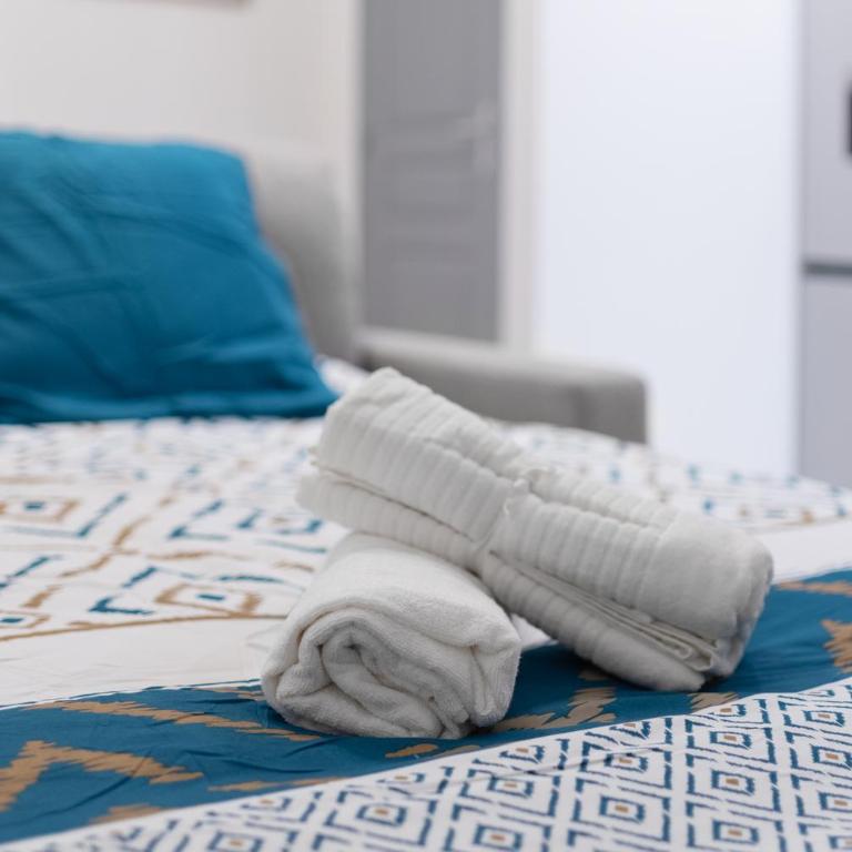 Spacieux T2 au centre ville avec parking et climatisation - Apartment mit 1 Schlafzimmer - 5