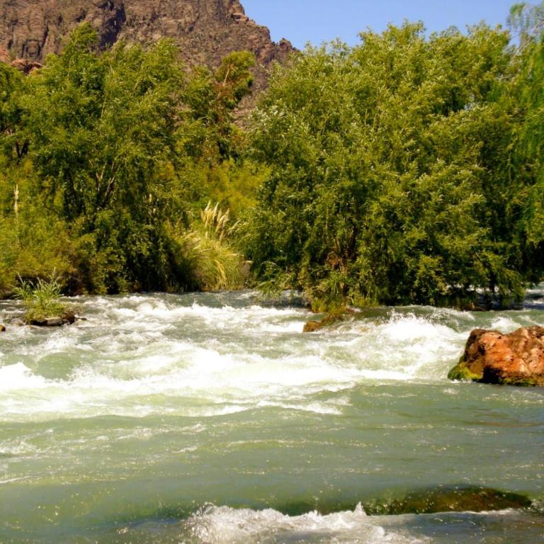 Hunuc Huar PR - One-Bedroom Apartment - 10