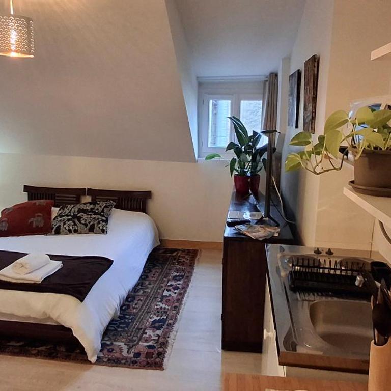 appartement chez Eric 7 - Appartamento con 1 Camera da Letto - 7