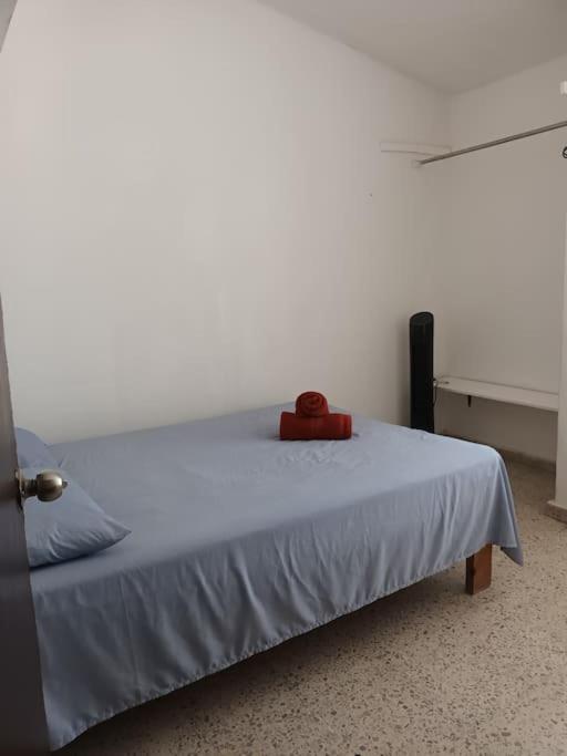 Casa Amaral - Four-Bedroom House - 10