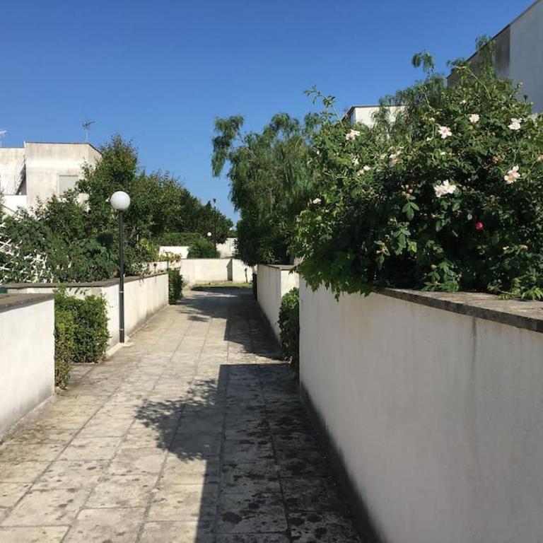 Appartamento tra sole, mare e natura - Appartamento con 1 Camera da Letto - 38
