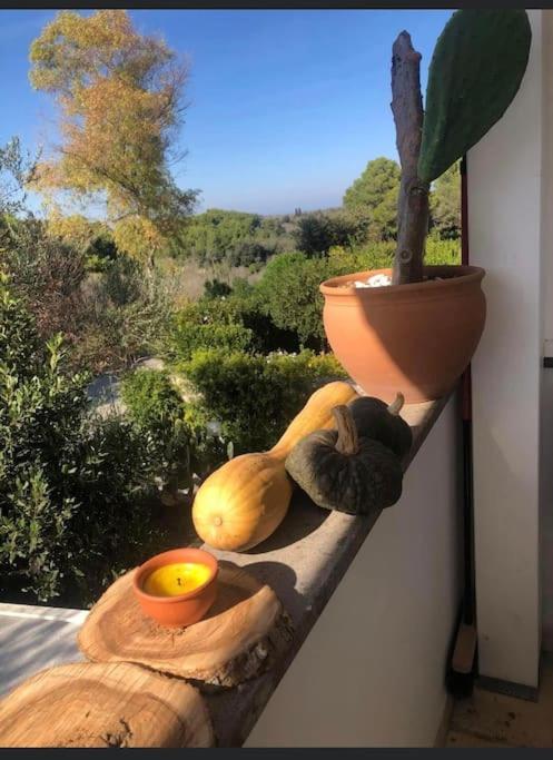 Appartamento tra sole, mare e natura - Appartamento con 1 Camera da Letto - 35