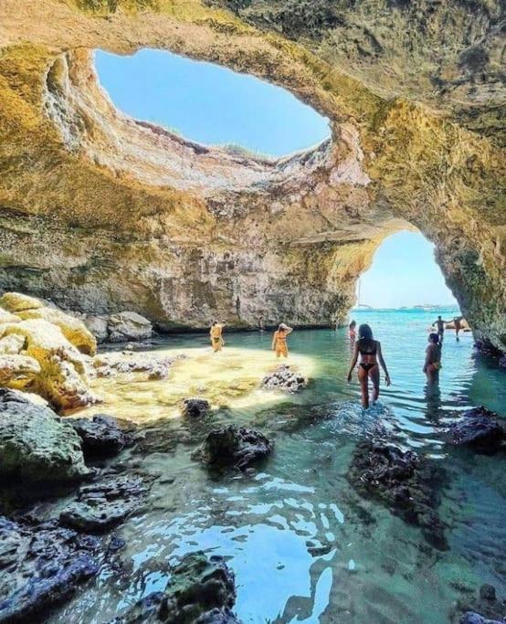 Appartamento tra sole, mare e natura - Appartamento con 1 Camera da Letto - 48