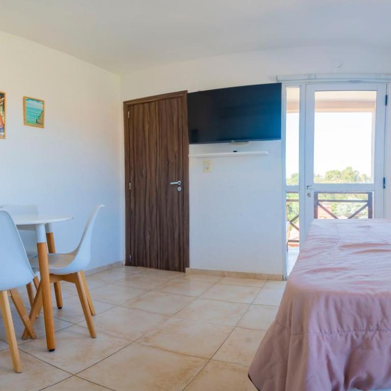 Departamentos NIZA 313 - Apartamento con balcón - 10