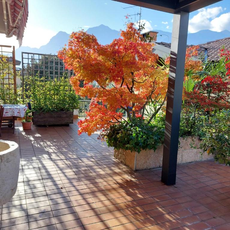 Appartamento la Terrazza - Appartamento con 1 Camera da Letto - 27