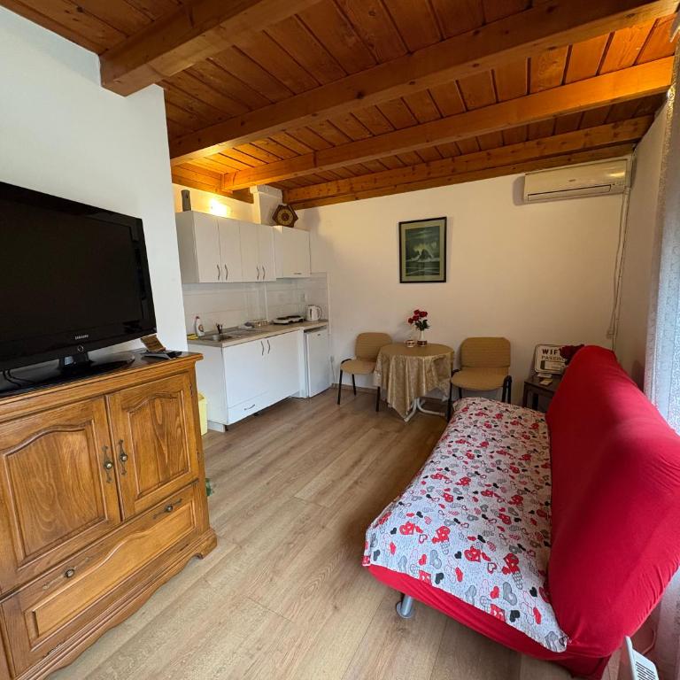 Stan Centar - Apartman sa 1 Spavaćom Sobom - 1