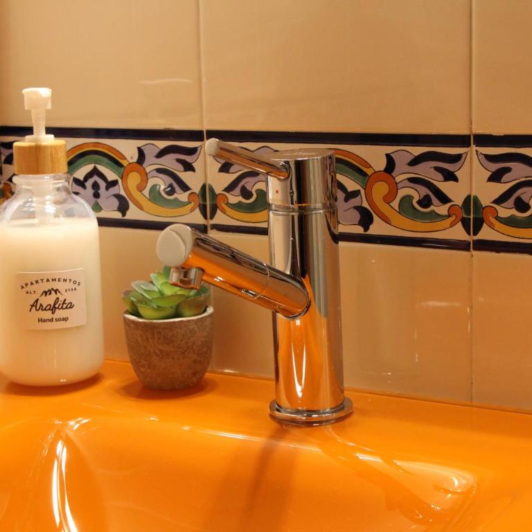 Misalas, Ski y montaña petfriendly - Arafita Apartamentos - Appartement 2 Chambres - 33