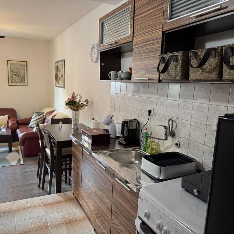 Lotos by Nana - Apartman sa 1 Spavaćom Sobom - 9