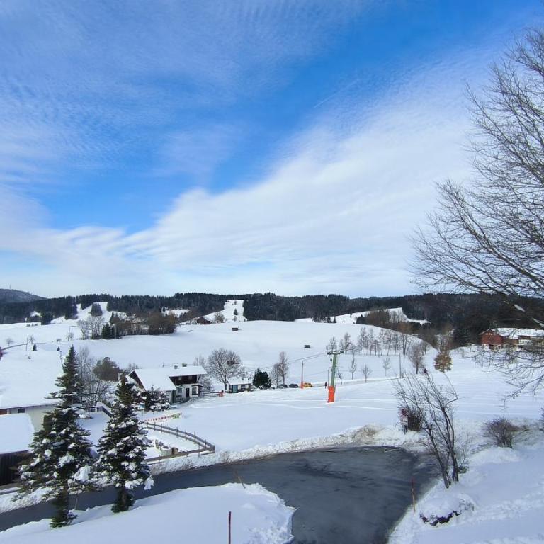 Ferienwohnung Allgäuerle 1604 Ski in Ski out an der Skipiste mit Hallenbad Sauna - Apartment - 20