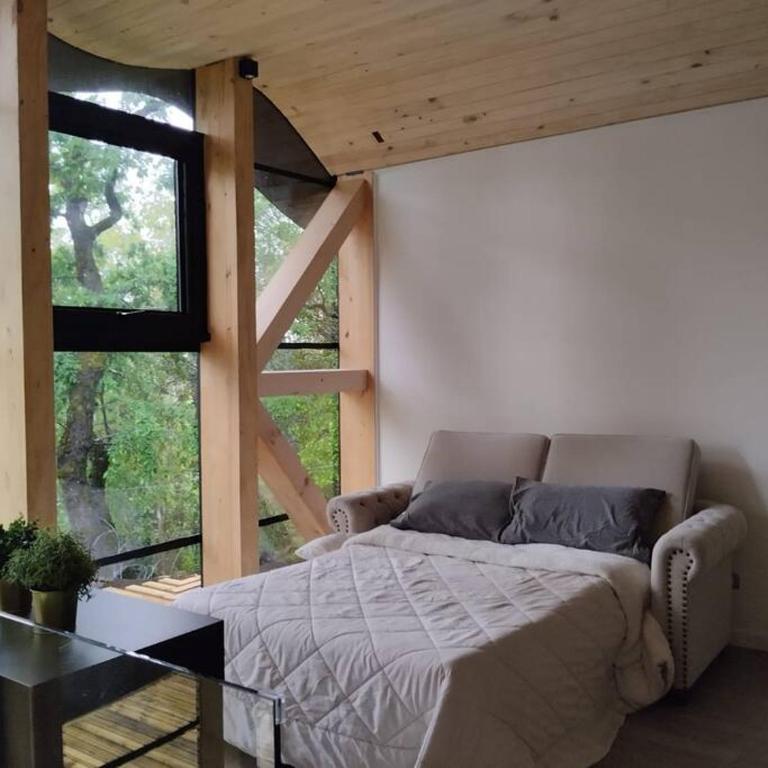 Conguillio Lava Cave - Chalet de 1 dormitorio - 17