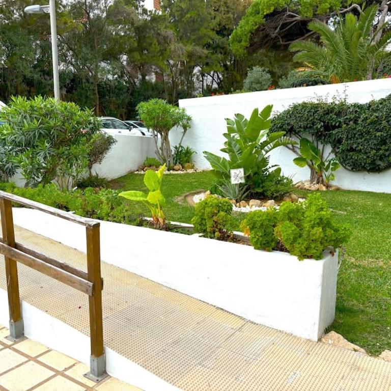Evans Realty BG 1ª línea playa & Piscina & Vistas - Apartamento de 1 dormitorio - 32