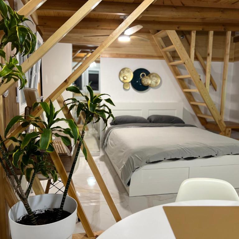 El mirador de las dunas - Apartamento de 1 dormitorio - 25