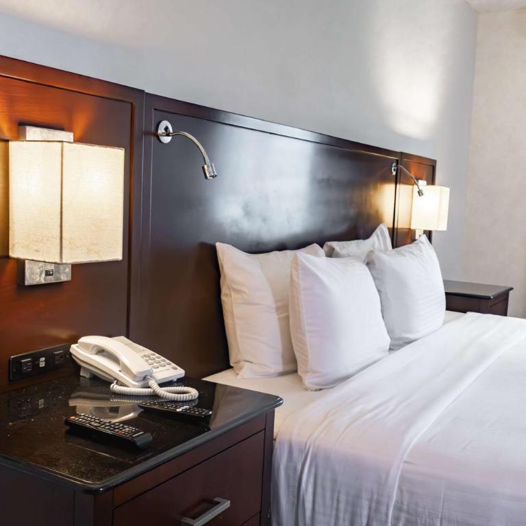 Best Western PLUS Monterrey Colón - Accessible King Room - Non Smoking - 1