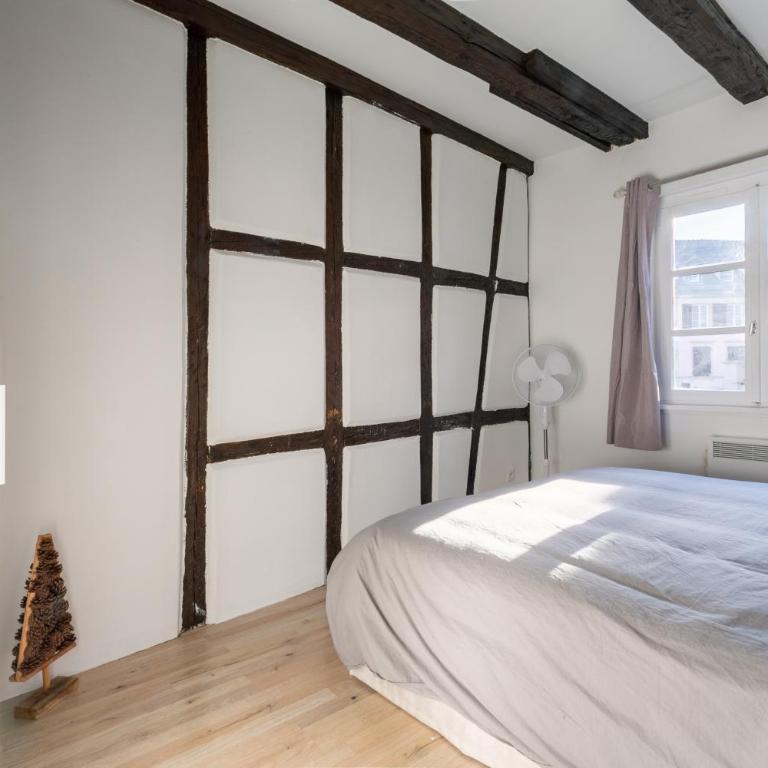 Appart cosy - Centre - Charme alsacien - Strasbnb - Apartamento de 1 dormitorio - 7