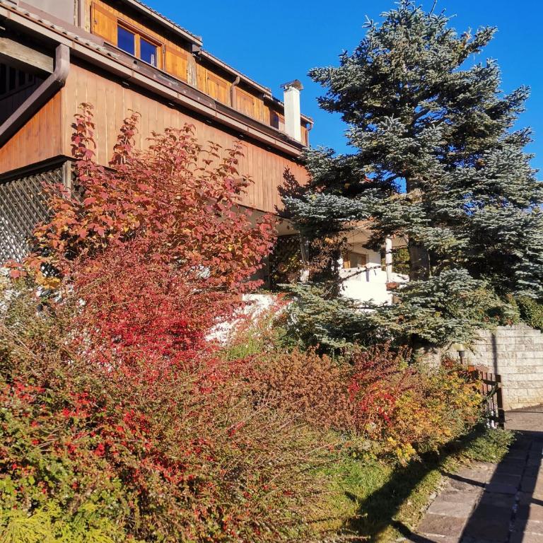 Chalet Genziana - Chalet mit 3 Schlafzimmern - 35