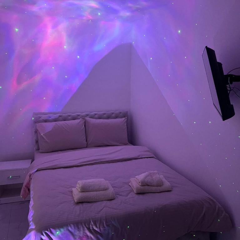 Mia spa - Apartman sa 1 Spavaćom Sobom - 3