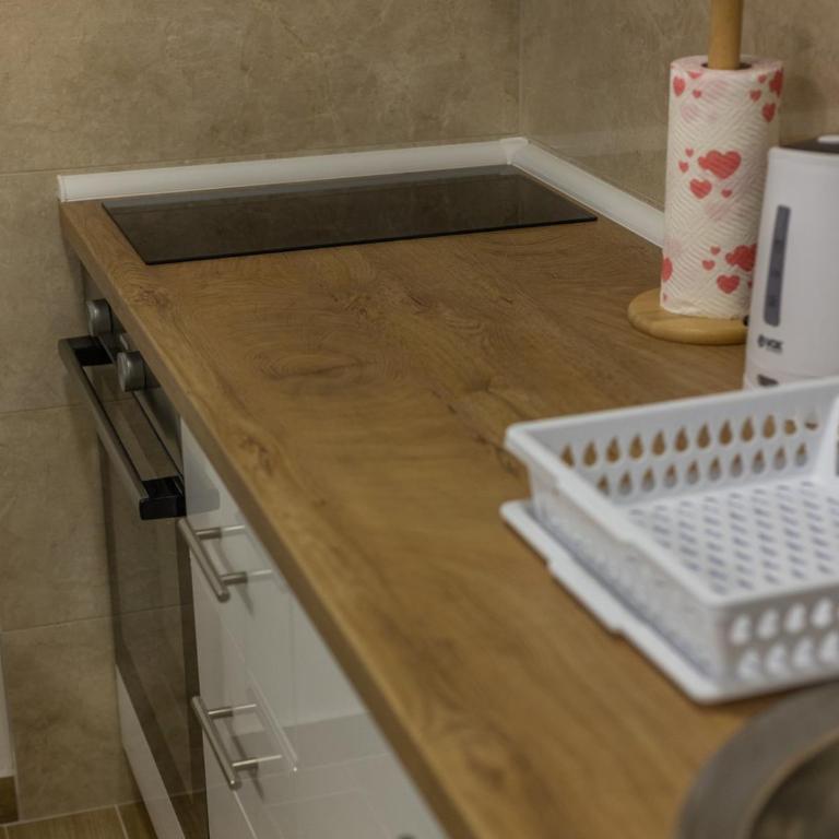 Ljilja Studio Apartman - Apartman sa 1 Spavaćom Sobom - 33