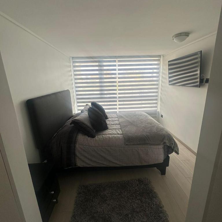 Laguna del mar arrecife - One-Bedroom Apartment - 14