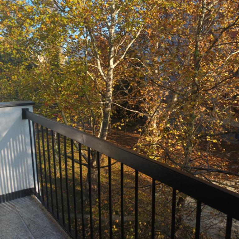 San Apartman - Apartman sa 1 Spavaćom Sobom - 6