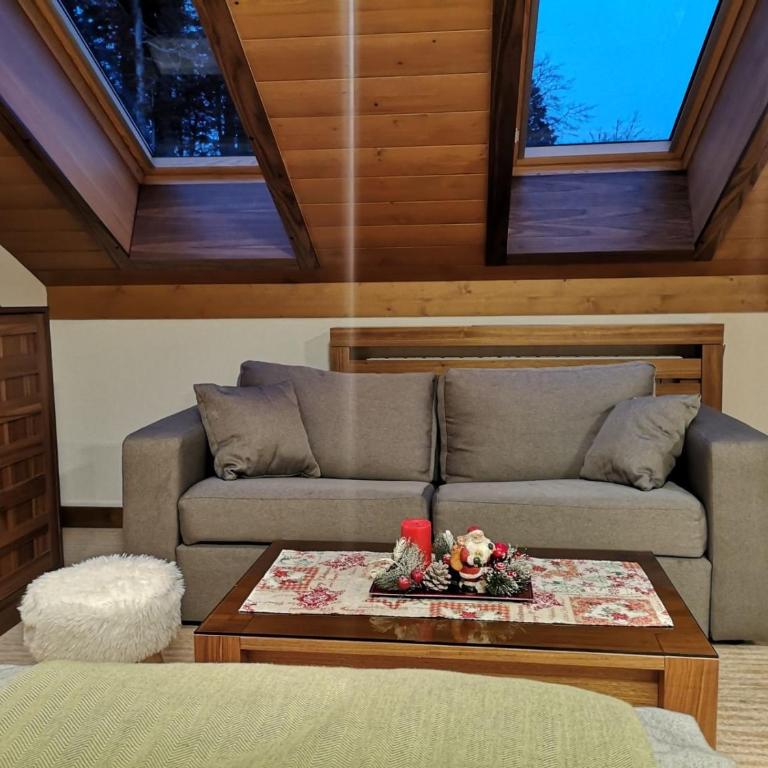APARTMAN lux B614, Aparthotel Vučko, Jahorina, private host - One-Bedroom Apartment - 10