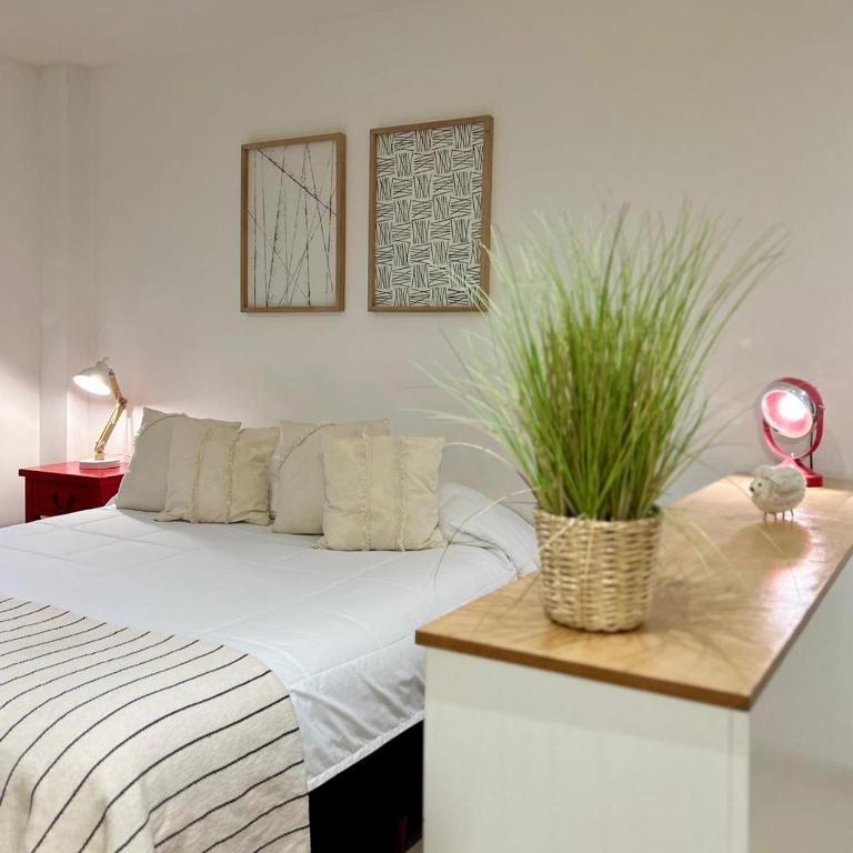 Penguins Flats 3 - Apartamento Estudio - 15